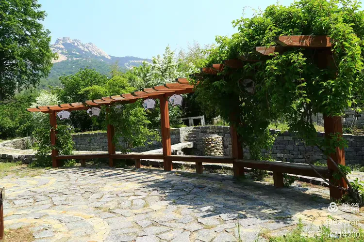 威海文登的六度寺绘画写生基地